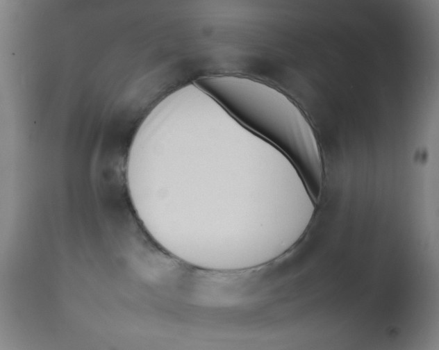 X0000112490045200909071231