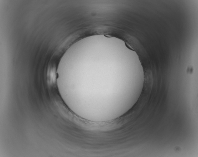 X0000112490046200909071231