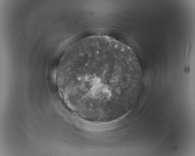 X0000112490047200909071231