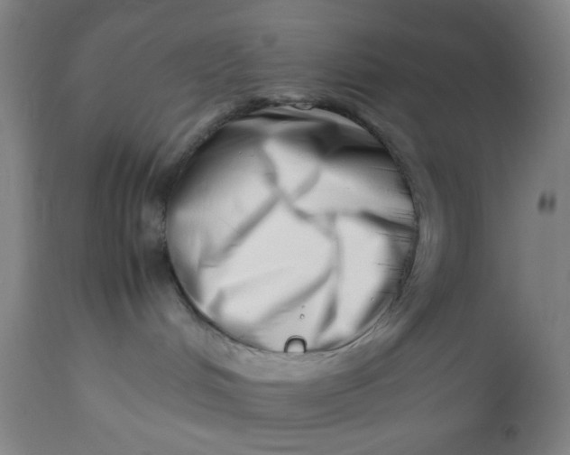 X0000112490048200909071231