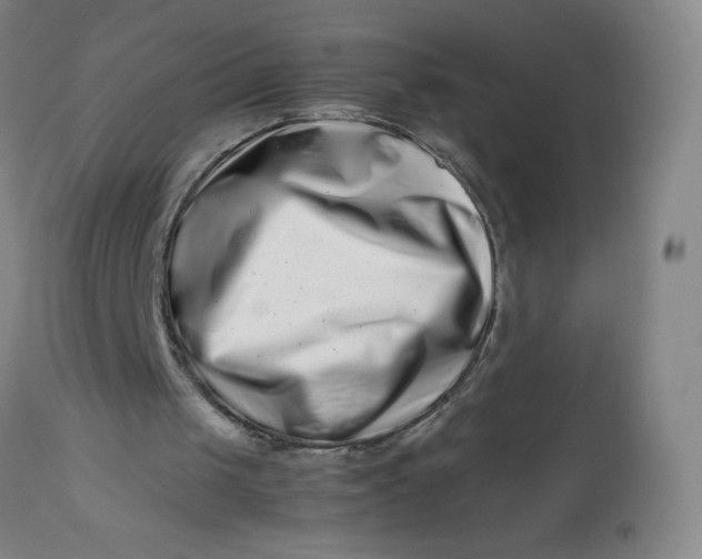 X0000112490049200909071230