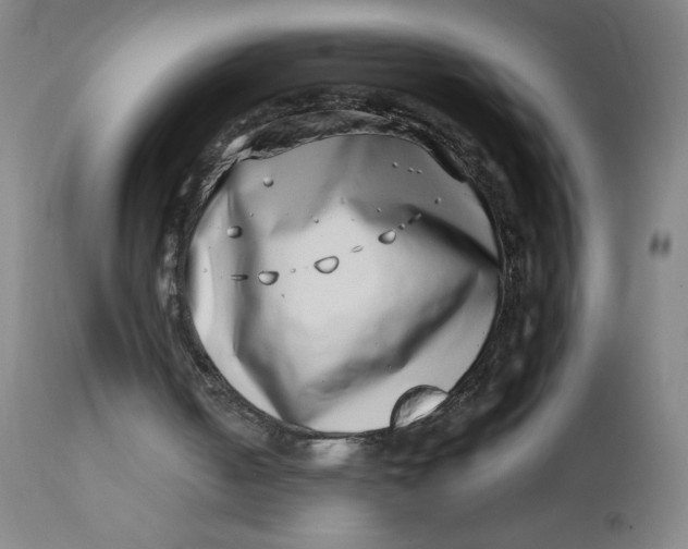 X0000112490050200909071230