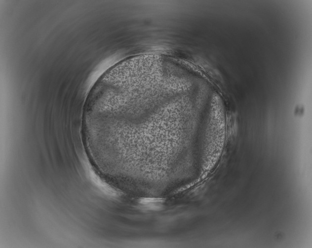 X0000112490051200909071230