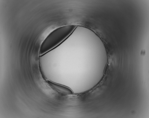 X0000112490052200909071230
