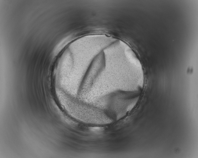 X0000112490053200909071230