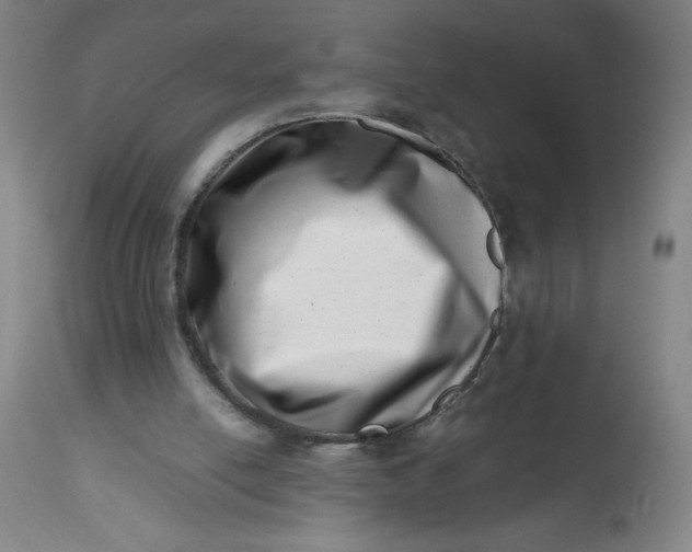 X0000112490054200909071230
