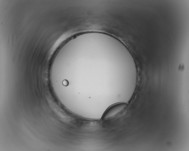 X0000112490056200909071230