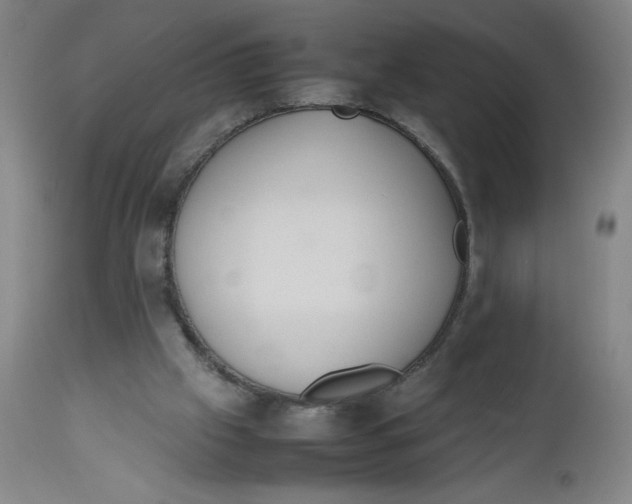 X0000112490057200909071230
