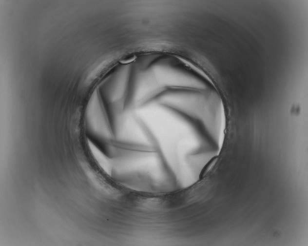 X0000112490058200909071230