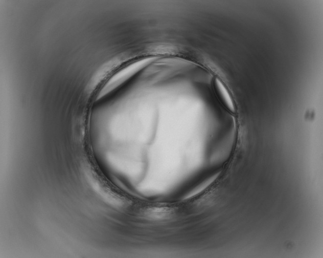 X0000112490059200909071230