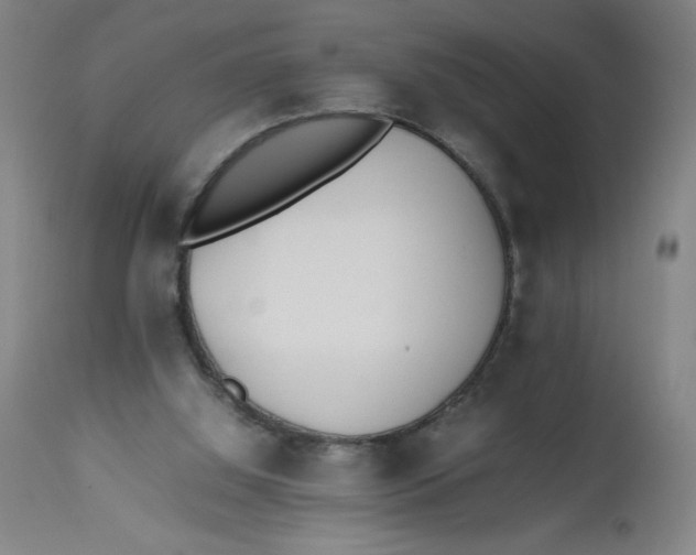 X0000112490060200909071230