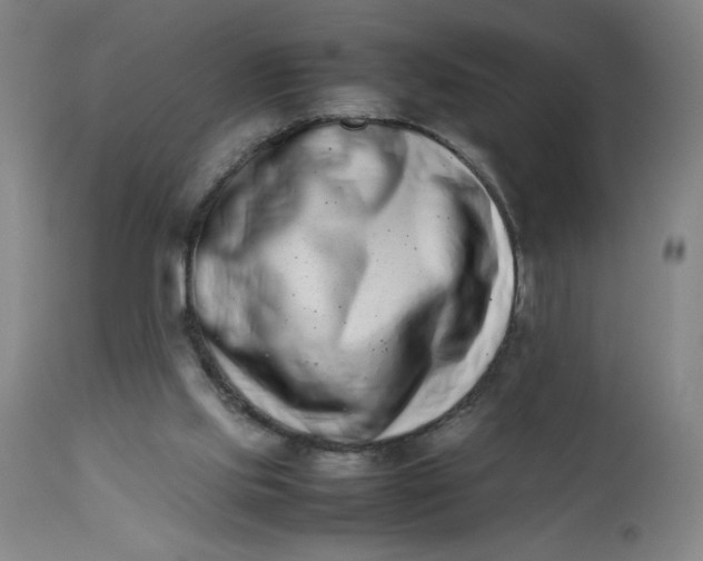 X0000112490061200909071230