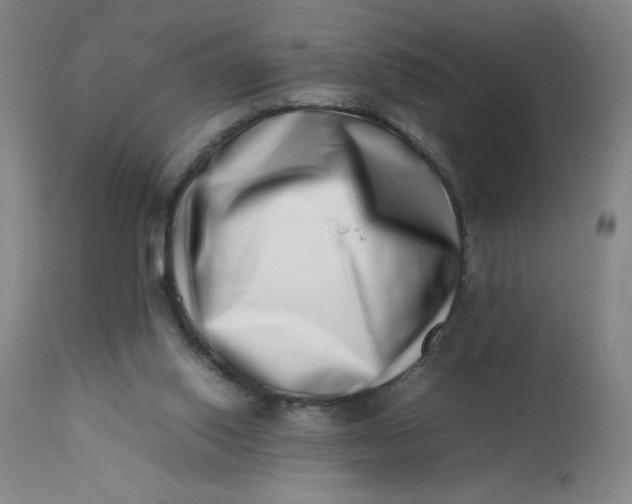 X0000112490062200909071230