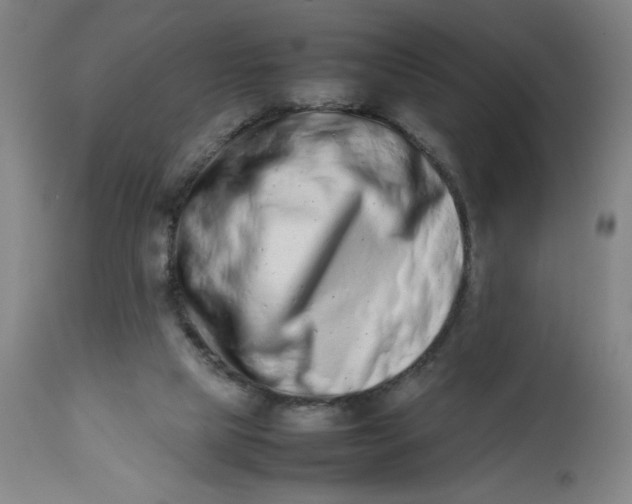 X0000112490065200909071230