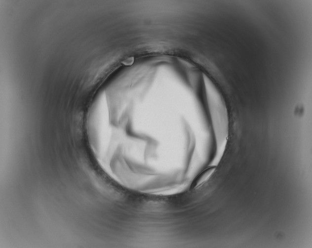 X0000112490066200909071230