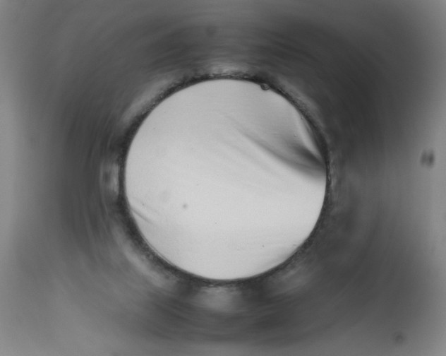 X0000112490067200909071230