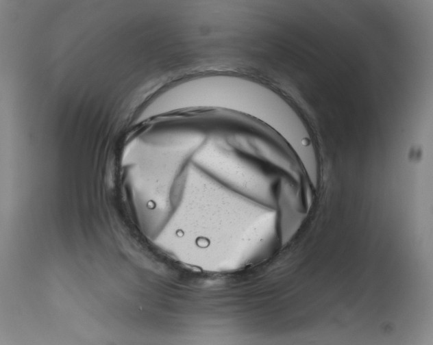 X0000112490068200909071230