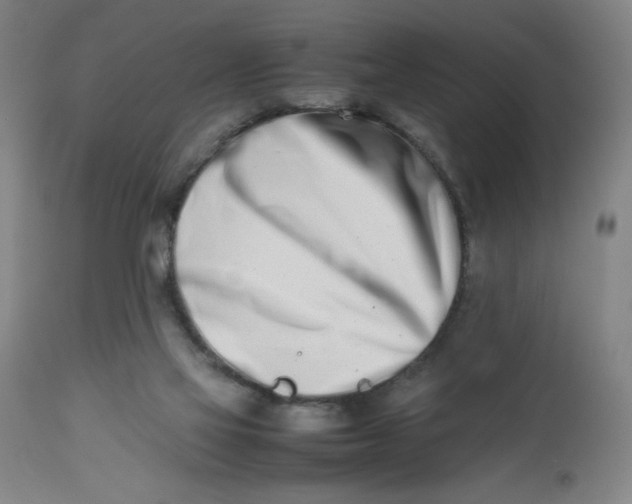 X0000112490069200909071230