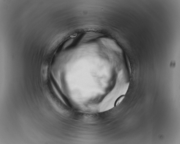 X0000112490070200909071230