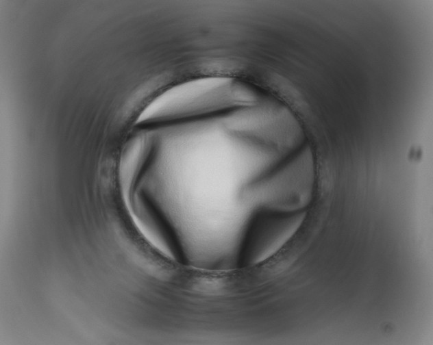 X0000112490071200909071230