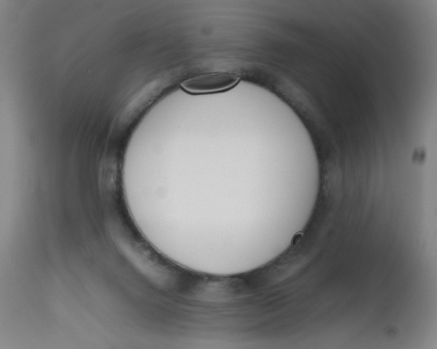 X0000112490072200909071230