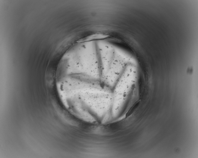 X0000112490074200909071231