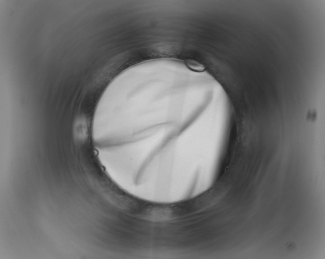 X0000112490075200909071231