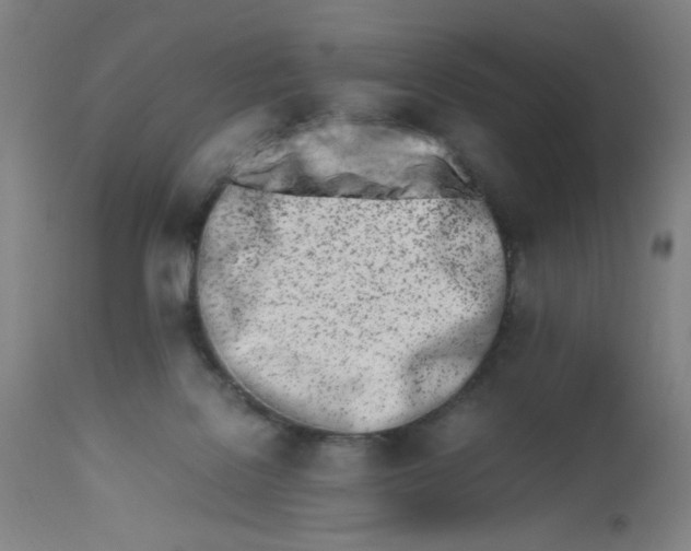 X0000112490076200909071231