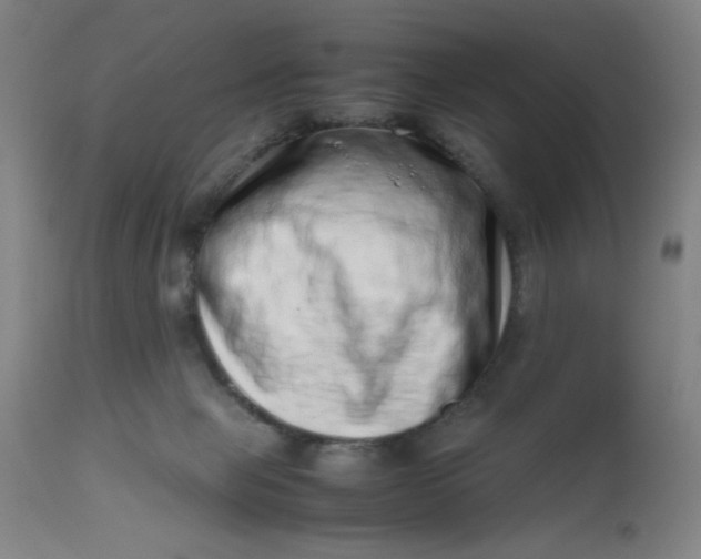 X0000112490077200909071231