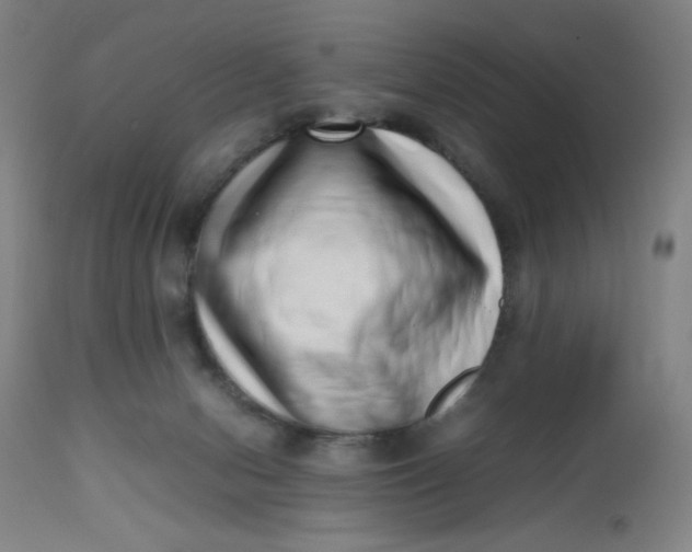 X0000112490078200909071231