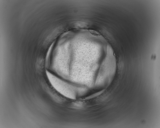 X0000112490079200909071231