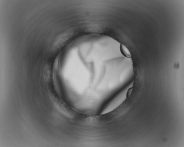 X0000112490080200909071231