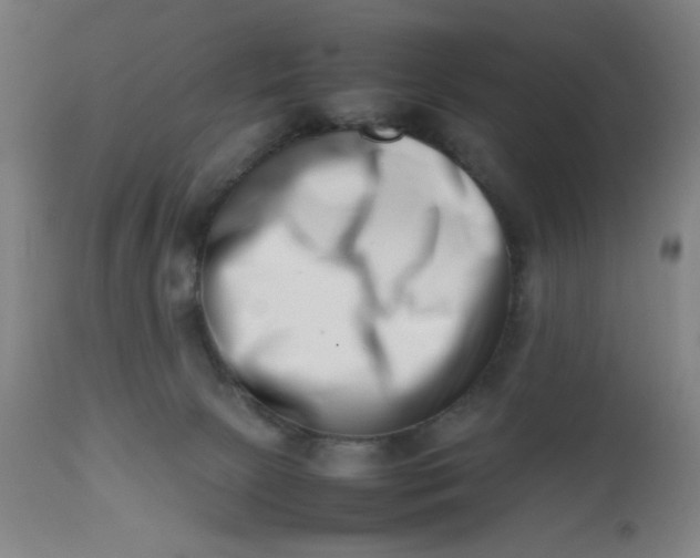 X0000112490081200909071231