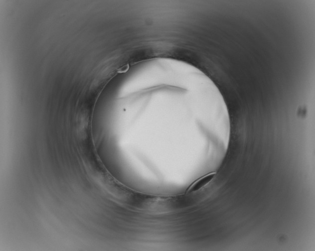 X0000112490082200909071231