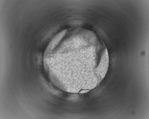 X0000112490083200909071231