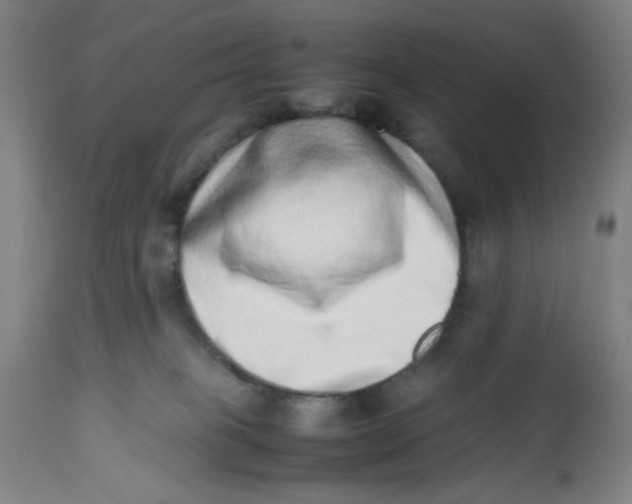 X0000112490085200909071231