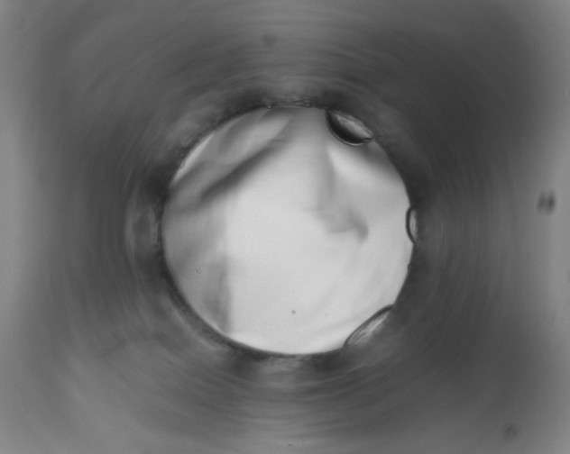 X0000112490086200909071231