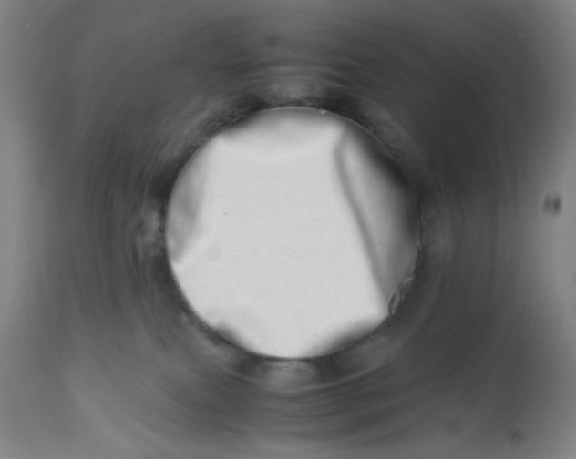 X0000112490087200909071231