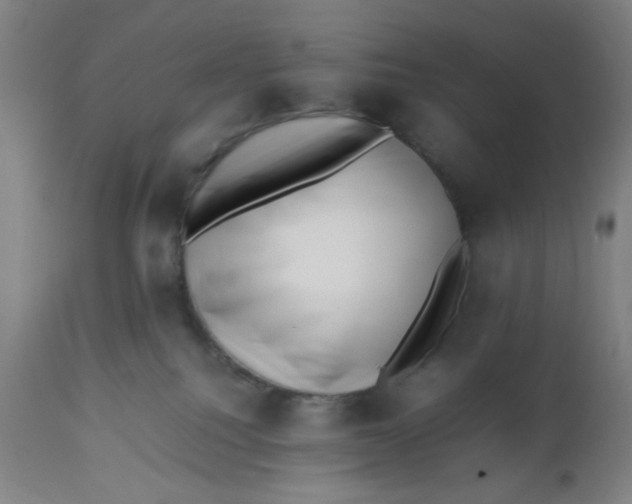 X0000112490088200909071231