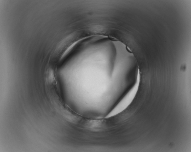 X0000112490089200909071231