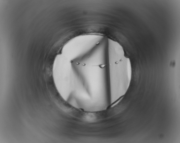 X0000112490091200909071231