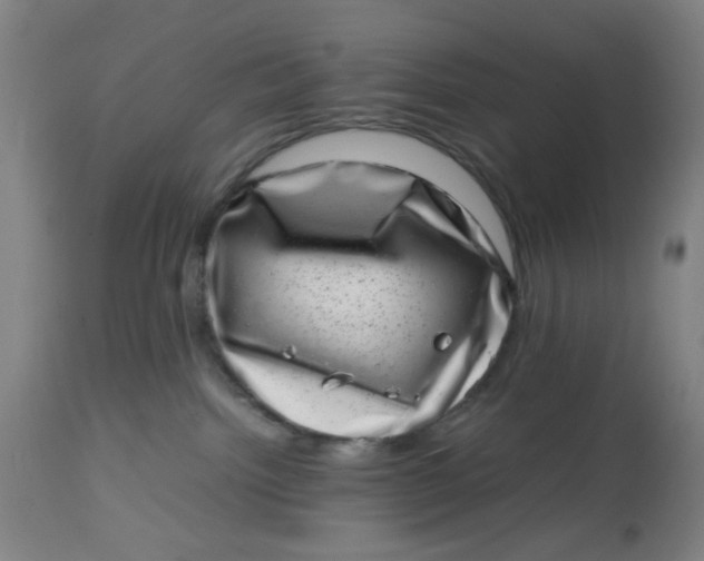 X0000112490092200909071231
