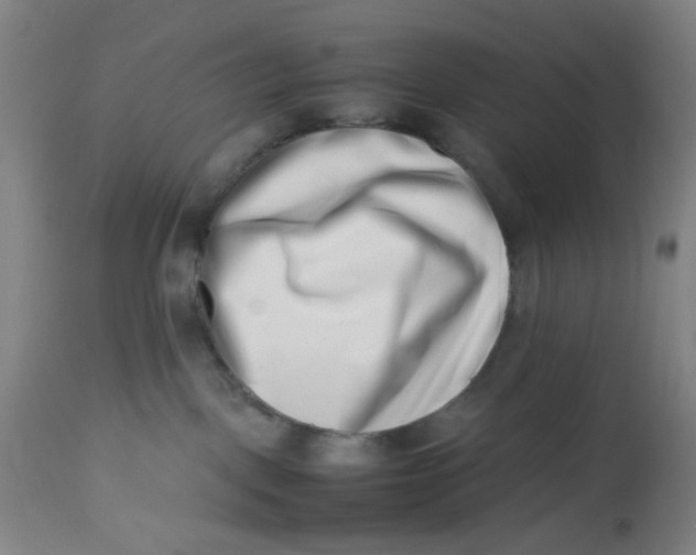 X0000112490093200909071231