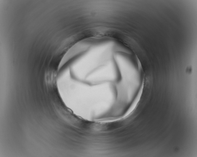 X0000112490094200909071231