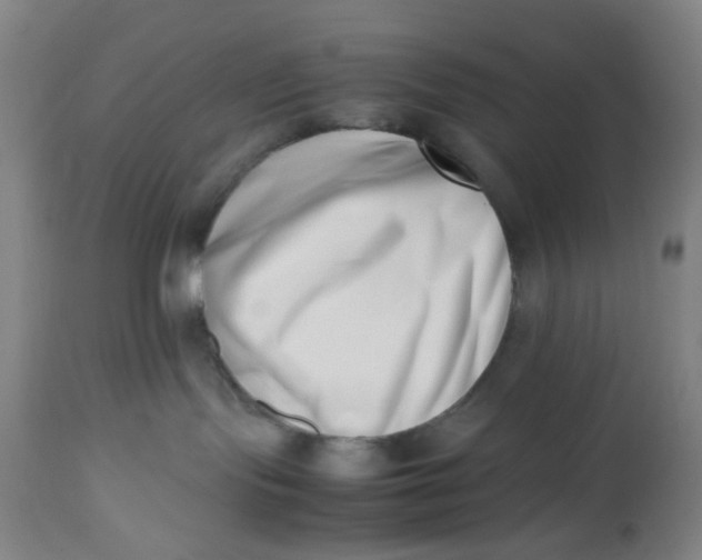 X0000112490095200909071231