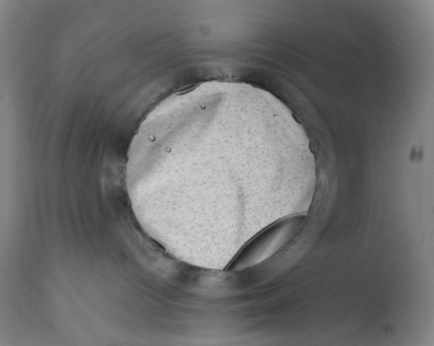 X0000112490096200909071231