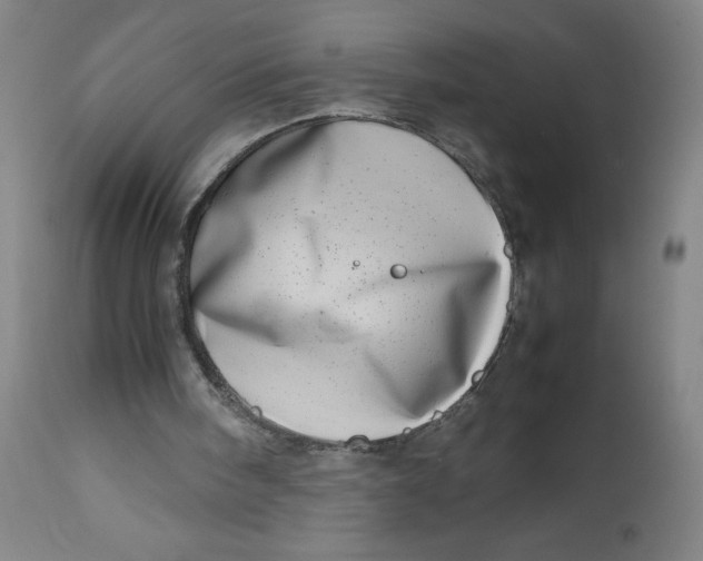 X0000112490098200909071230