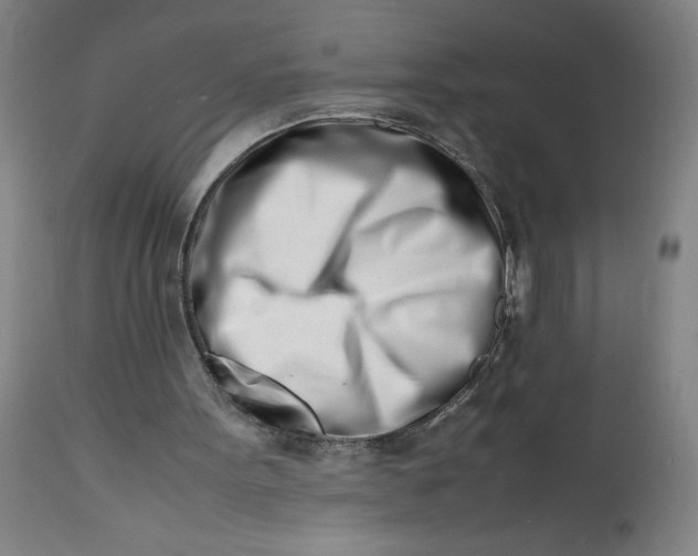 X0000112490099200909071230