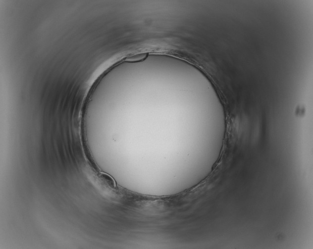 X0000112490100200909071230