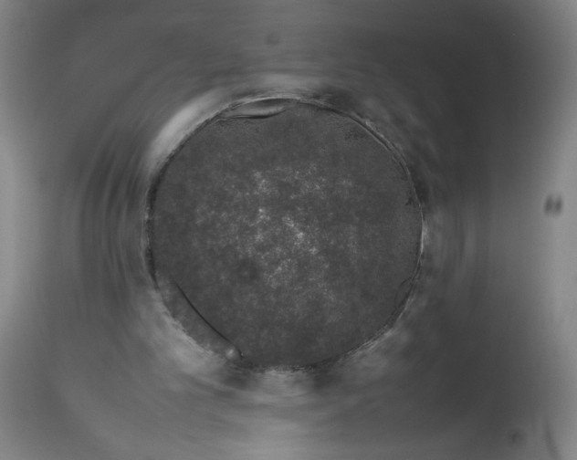 X0000112490101200909071230